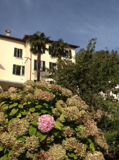 Nobiallum B&B Menaggio Exterior photo